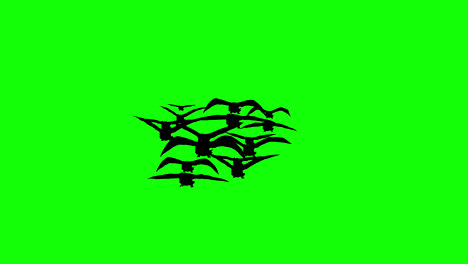 halloween-bat-flying-Flock-of-Black-crows-loop-motion-graphics-video-transparent-background-with-alpha-channel